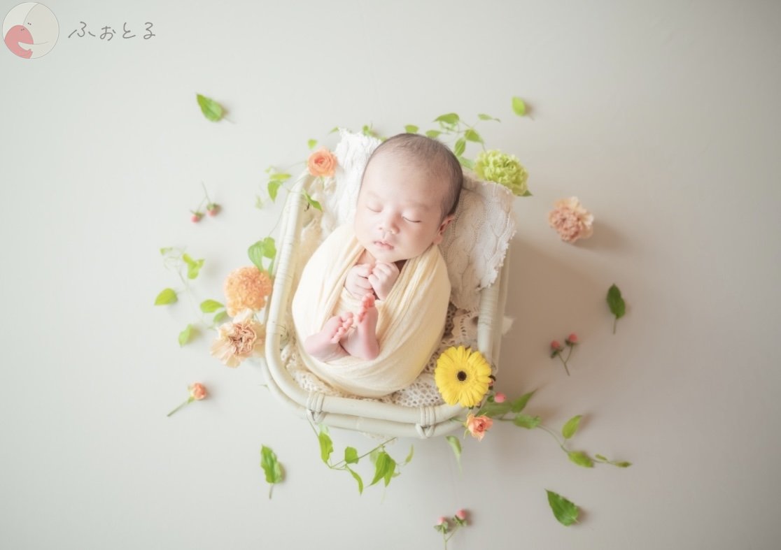 lysplume ゆりのポートフォリオ9