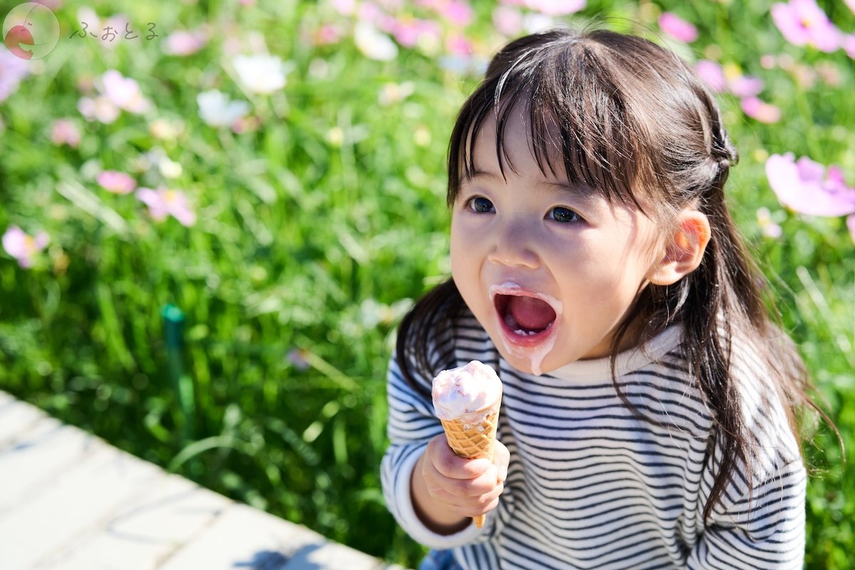 NOBUのポートフォリオ9