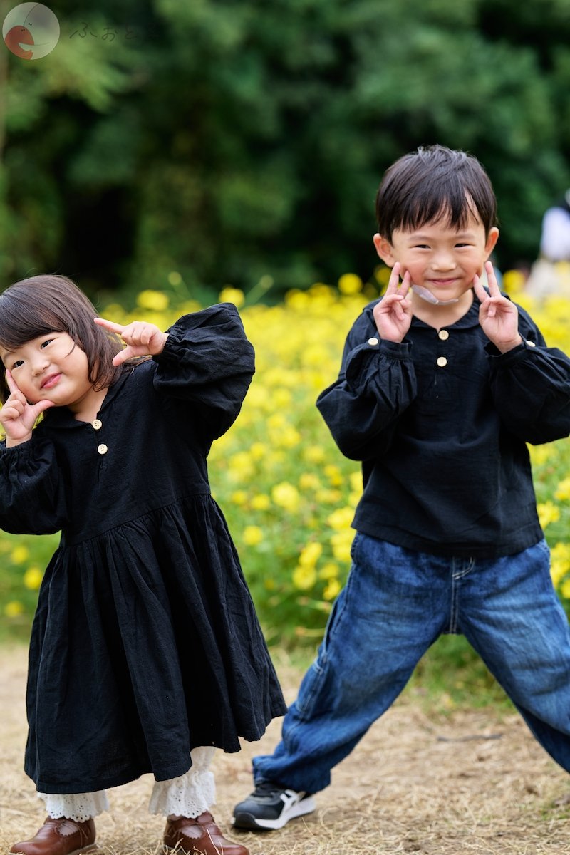 NOBUのポートフォリオ6