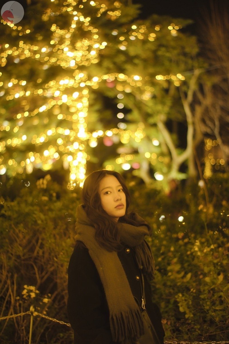 Shinichiのポートフォリオ1