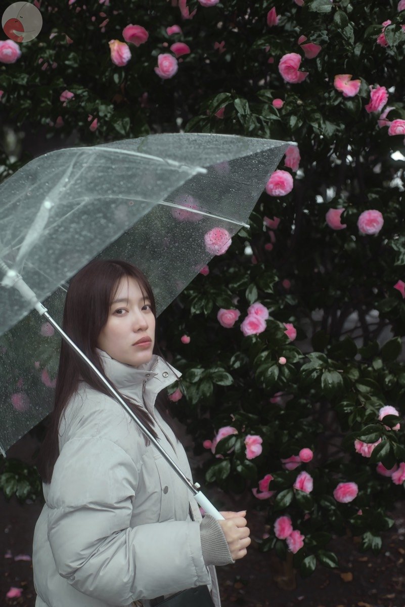 Shinichiのポートフォリオ4