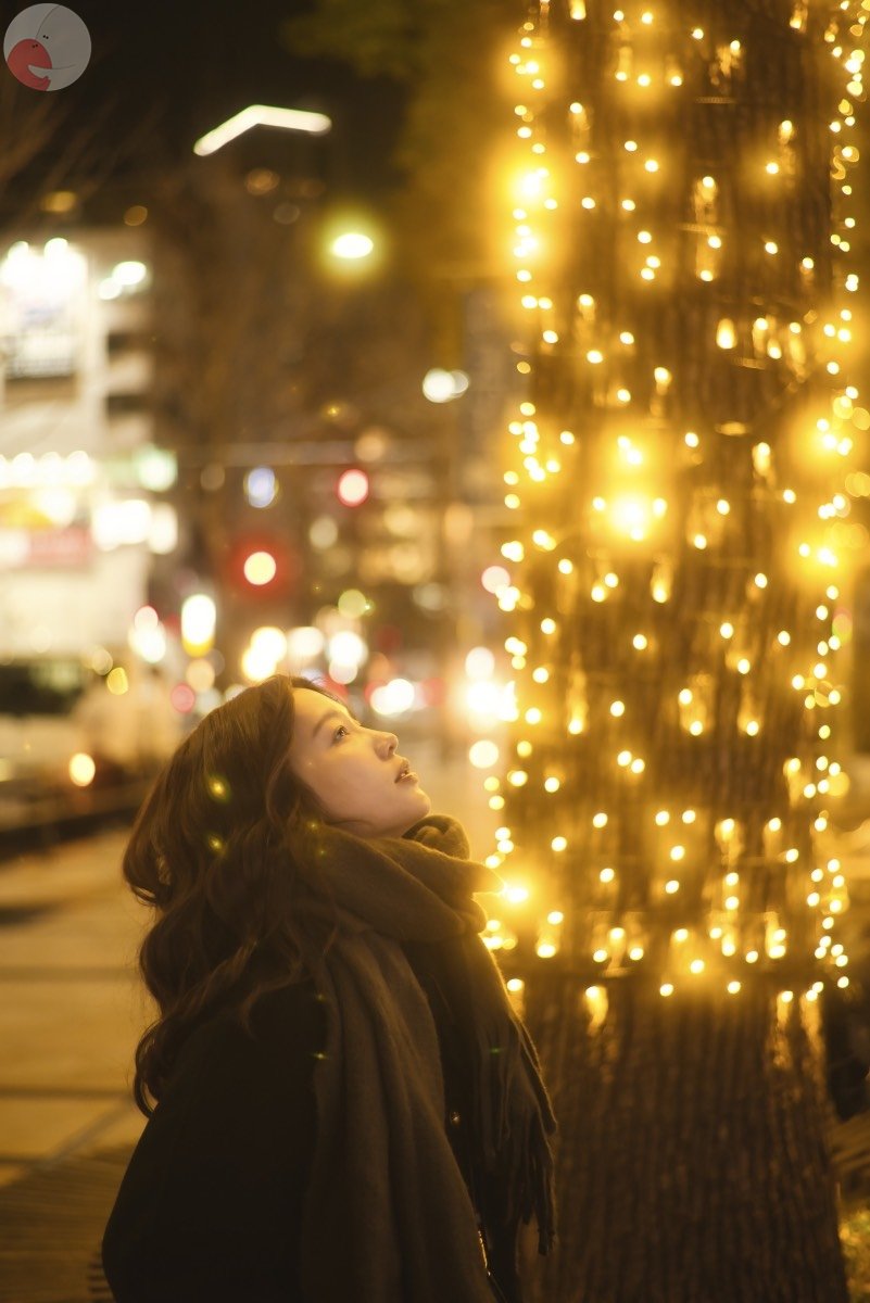 Shinichiのポートフォリオ4