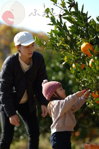 NAOKIのポートフォリオ6