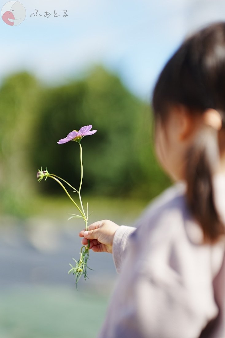 NAOKIのポートフォリオ2