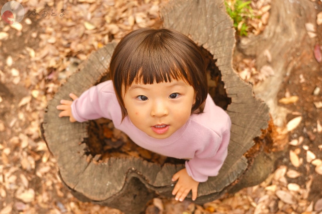 NAOKIのポートフォリオ5