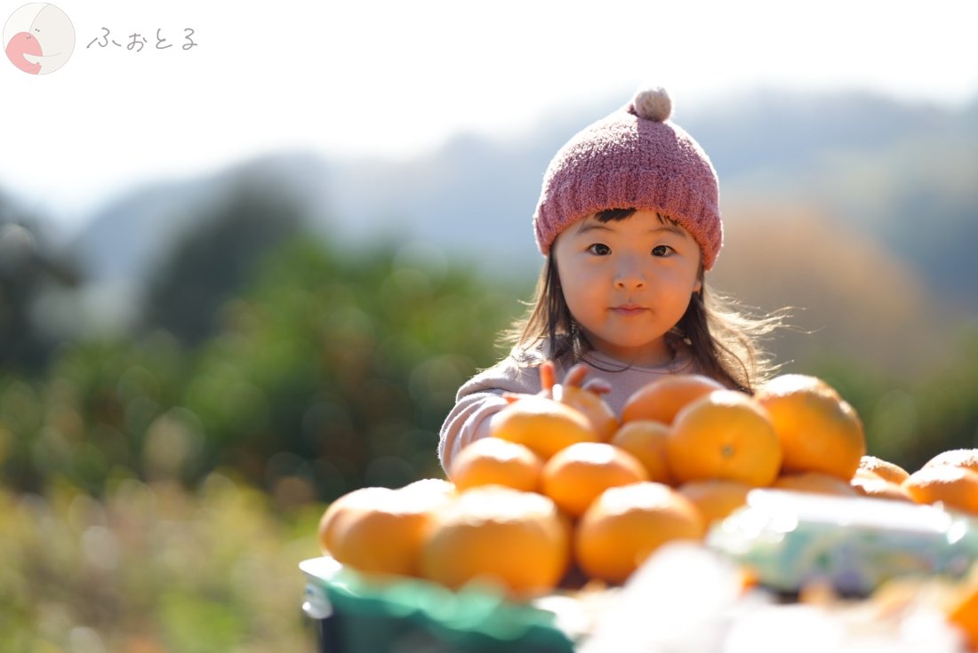 NAOKIのポートフォリオ6