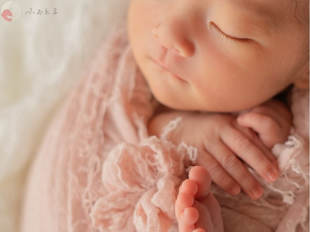 LicoLino𓍯澁佐春菜のポートフォリオ0