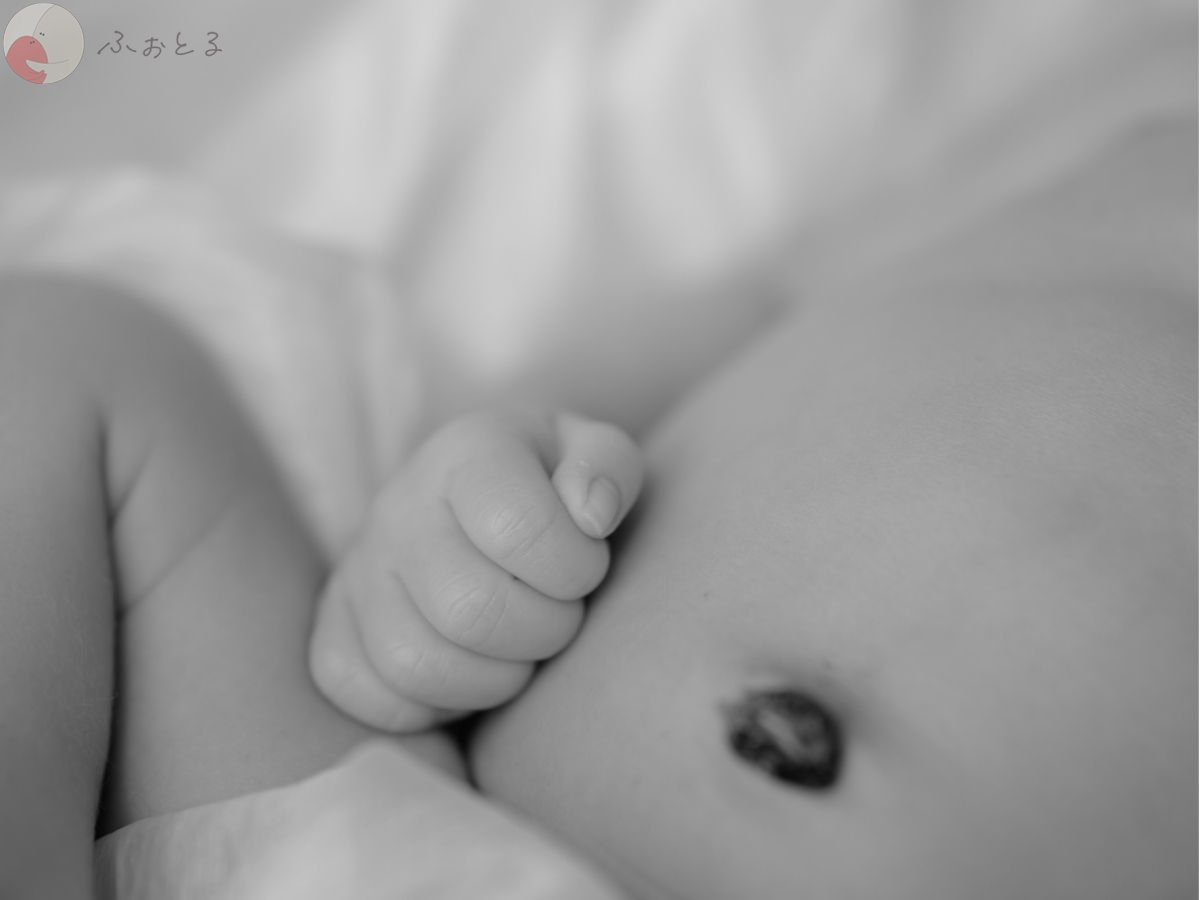 LicoLino𓍯澁佐春菜のポートフォリオ2