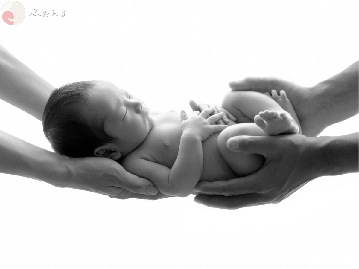 LicoLino?澁佐春菜のポートフォリオ4