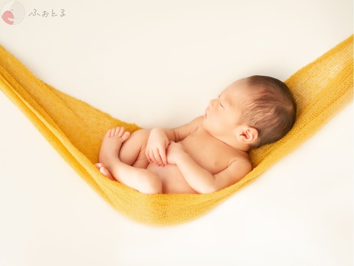 LicoLino𓍯澁佐春菜のポートフォリオ8