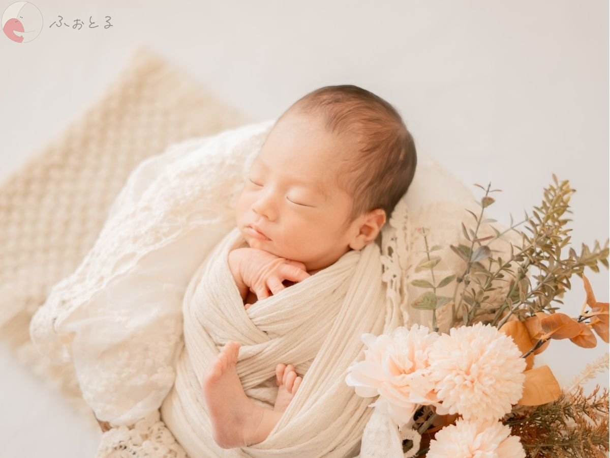 LicoLino?澁佐春菜のポートフォリオ1