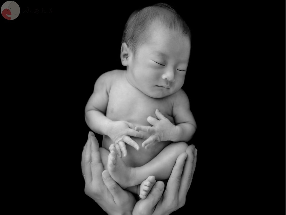 LicoLino𓍯澁佐春菜のポートフォリオ0