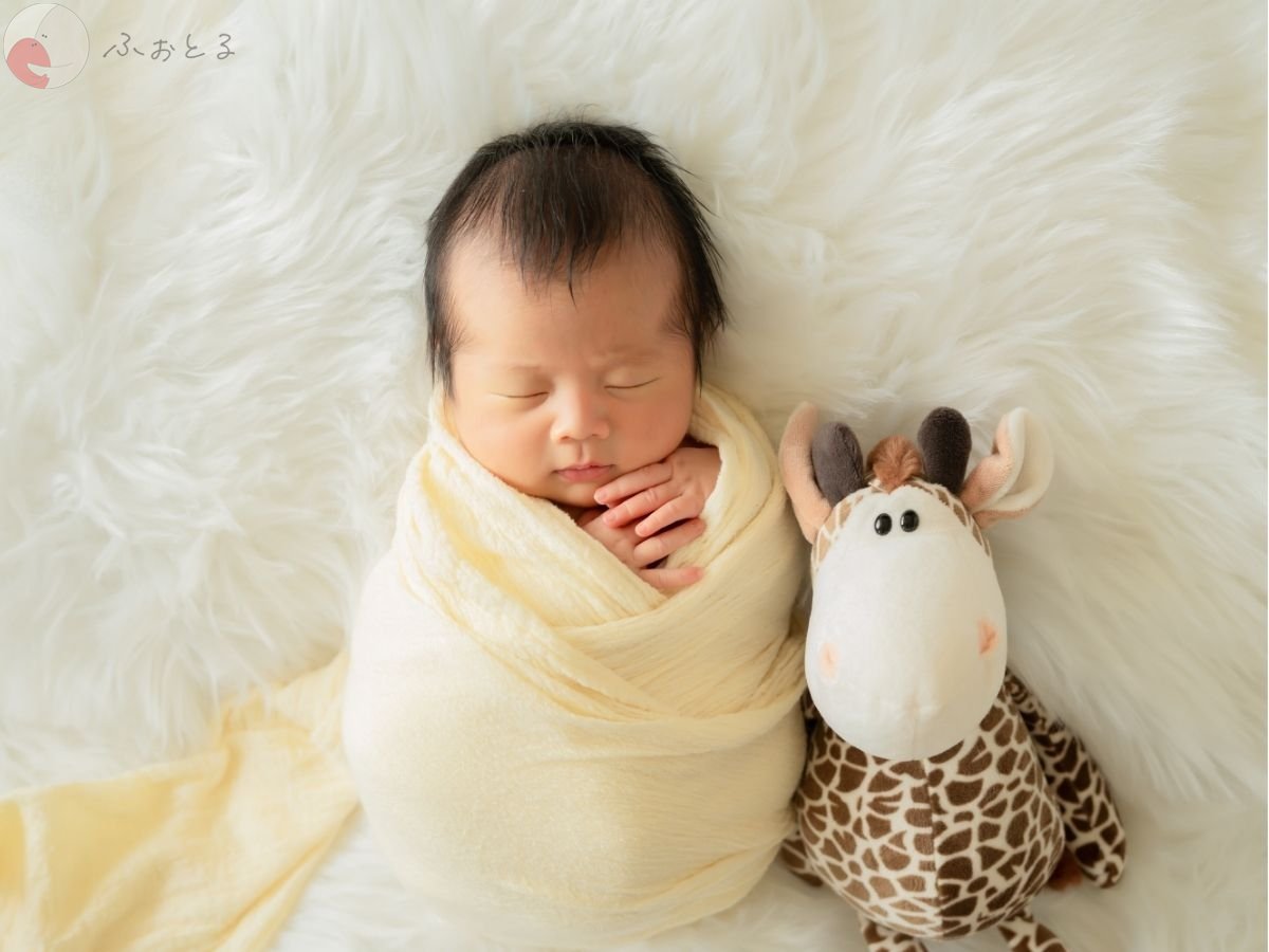 LicoLino?澁佐春菜のポートフォリオ1