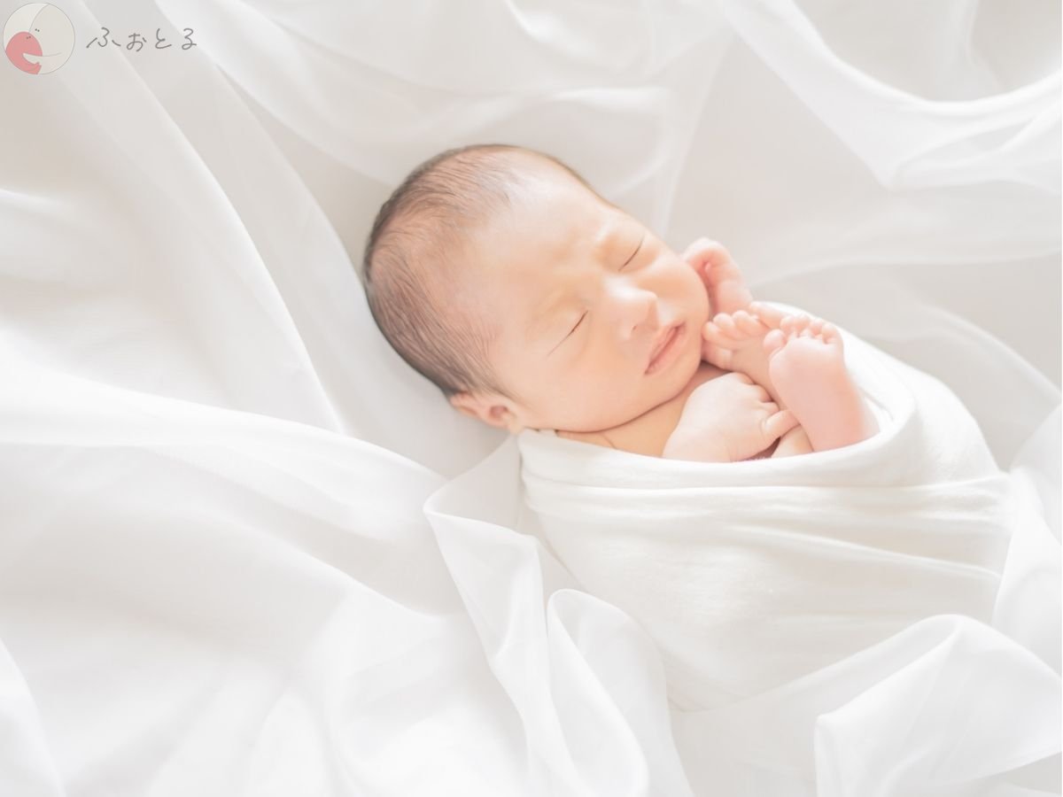 LicoLino?澁佐春菜のポートフォリオ2