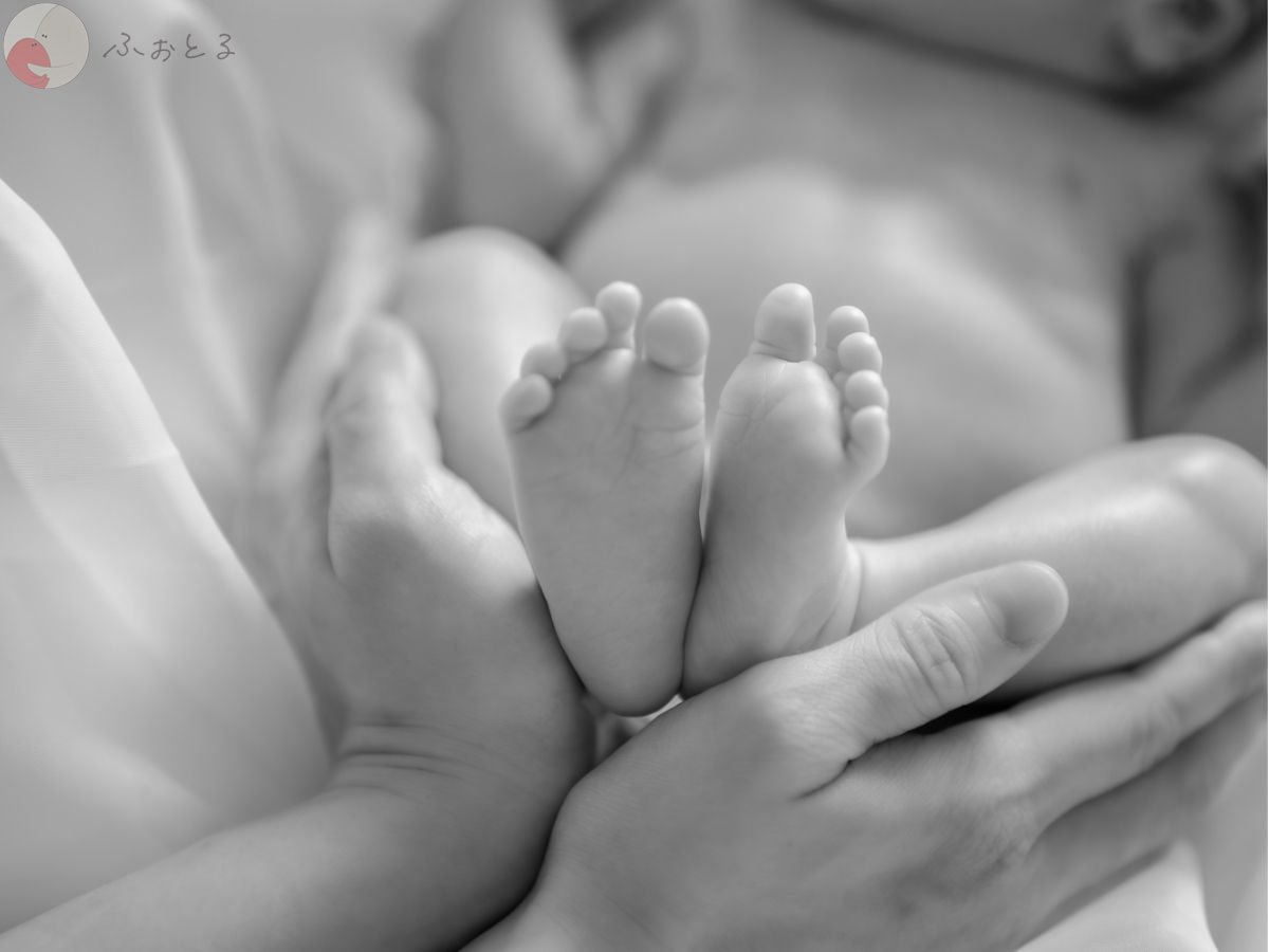 LicoLino?澁佐春菜のポートフォリオ4