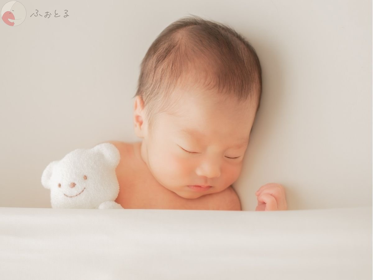 LicoLino?澁佐春菜のポートフォリオ6