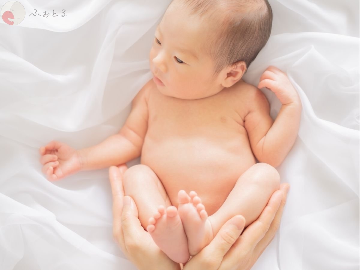 LicoLino?澁佐春菜のポートフォリオ7