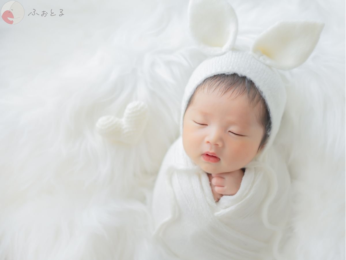 LicoLino?澁佐春菜のポートフォリオ2