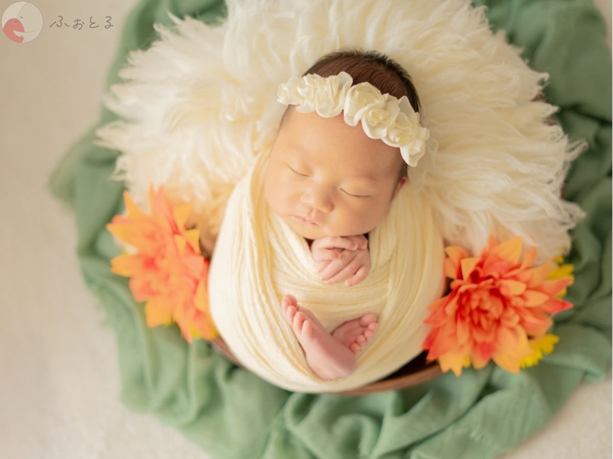 LicoLino𓍯澁佐春菜のポートフォリオ1