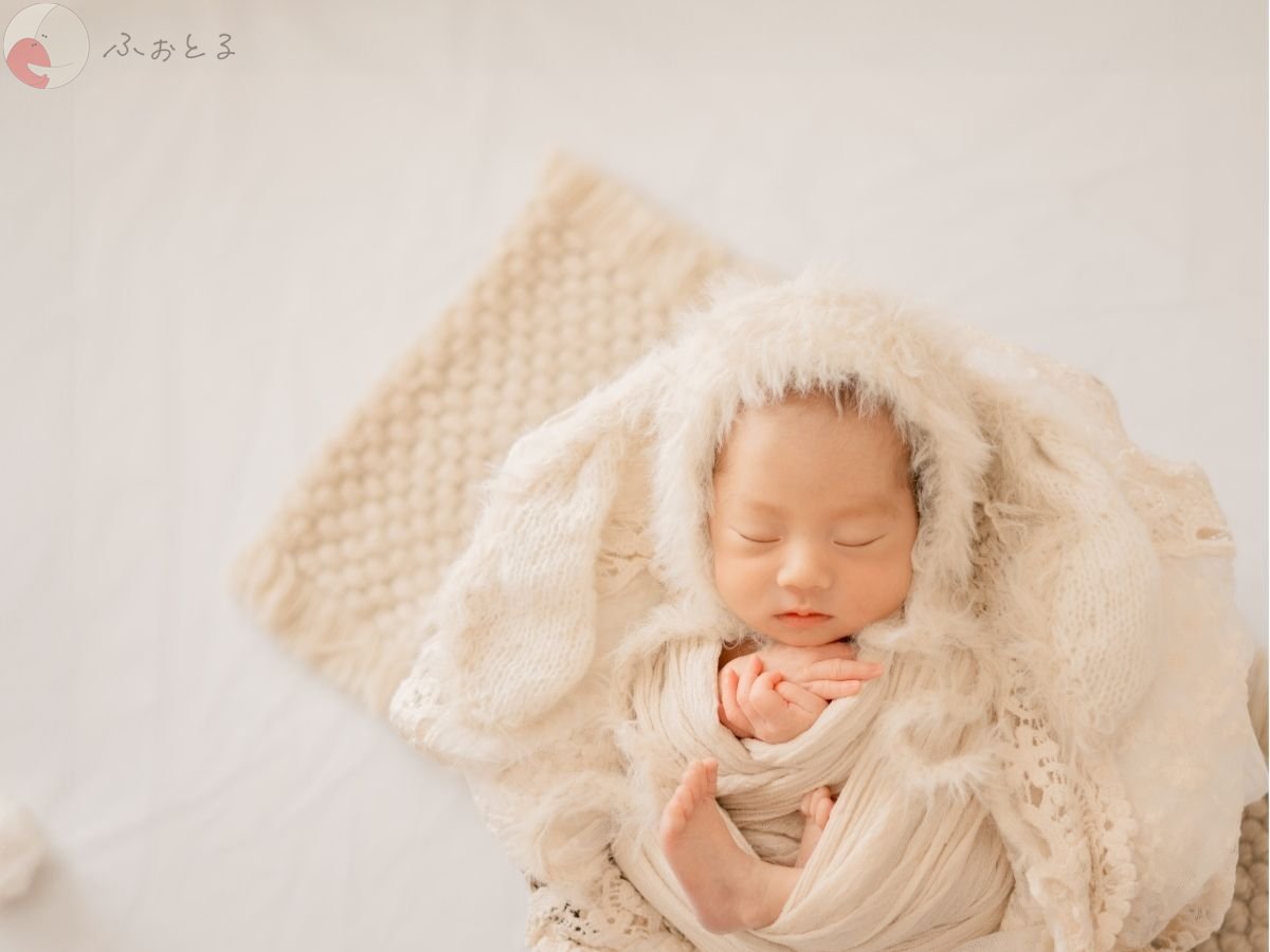 LicoLino?澁佐春菜のポートフォリオ2