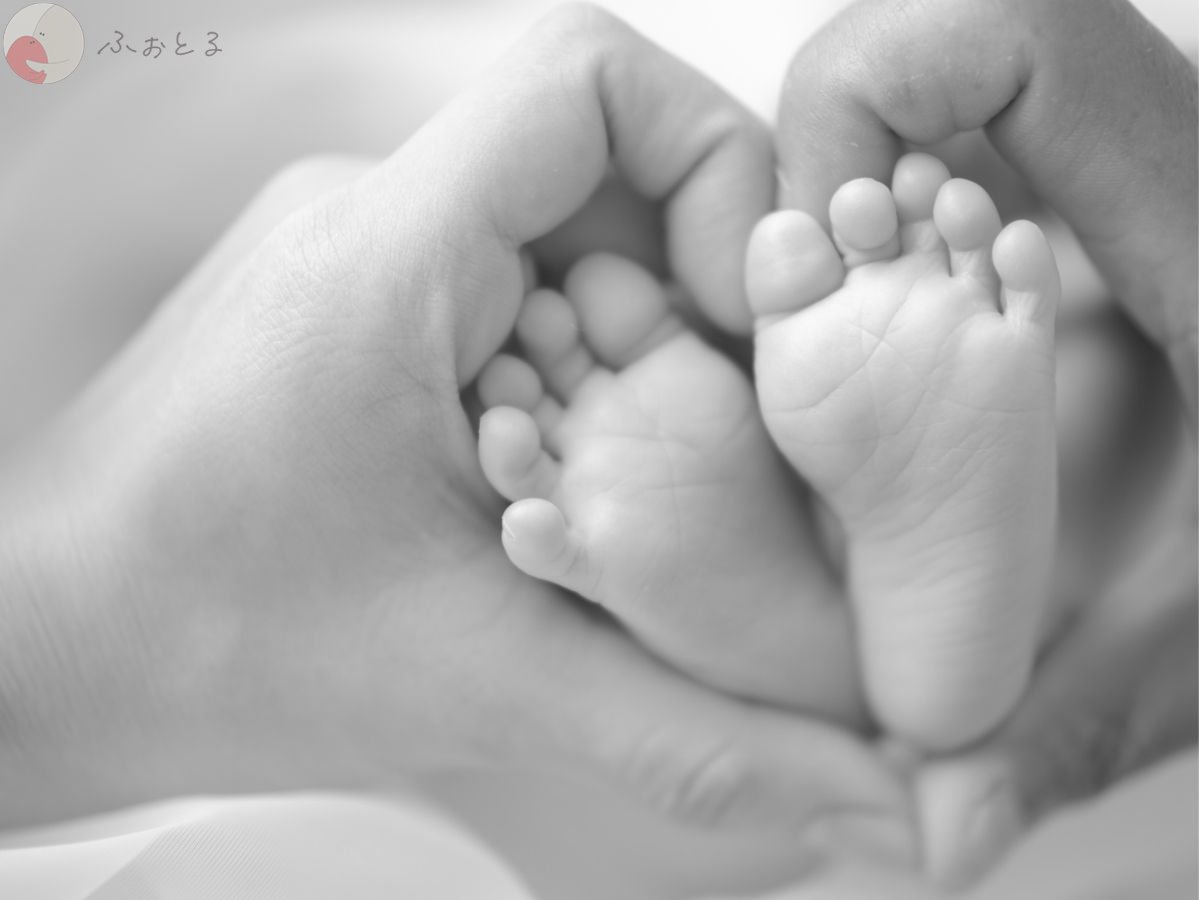 LicoLino𓍯澁佐春菜のポートフォリオ4