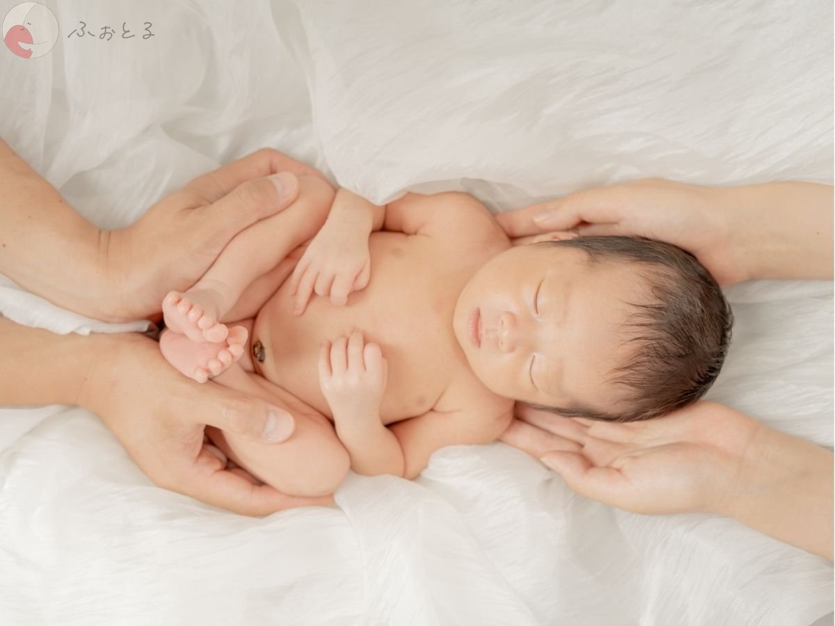 LicoLino𓍯澁佐春菜のポートフォリオ5