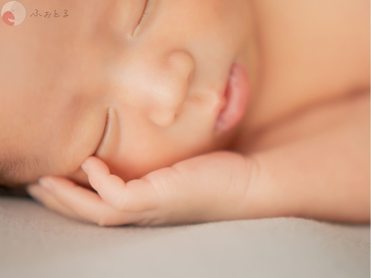 LicoLino?澁佐春菜のポートフォリオ6