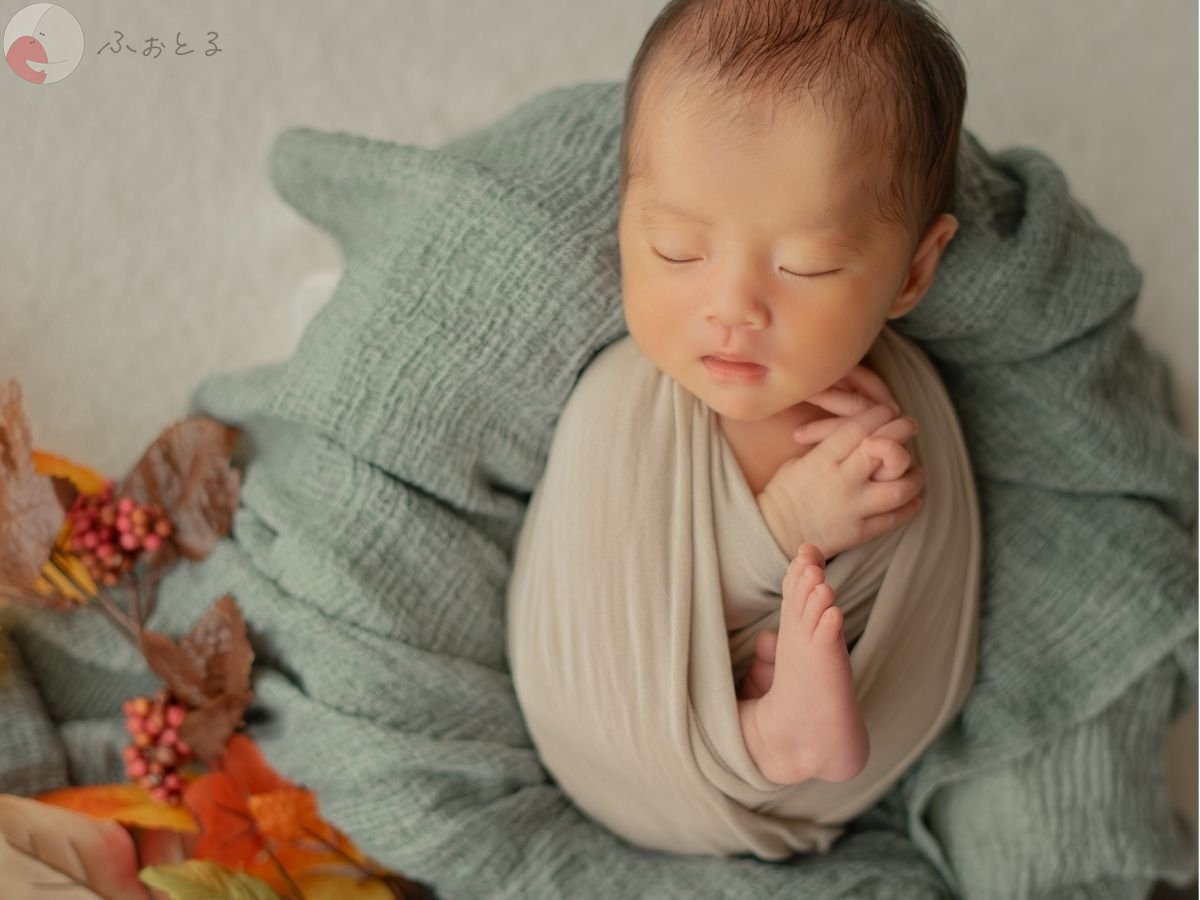 LicoLino?澁佐春菜のポートフォリオ8