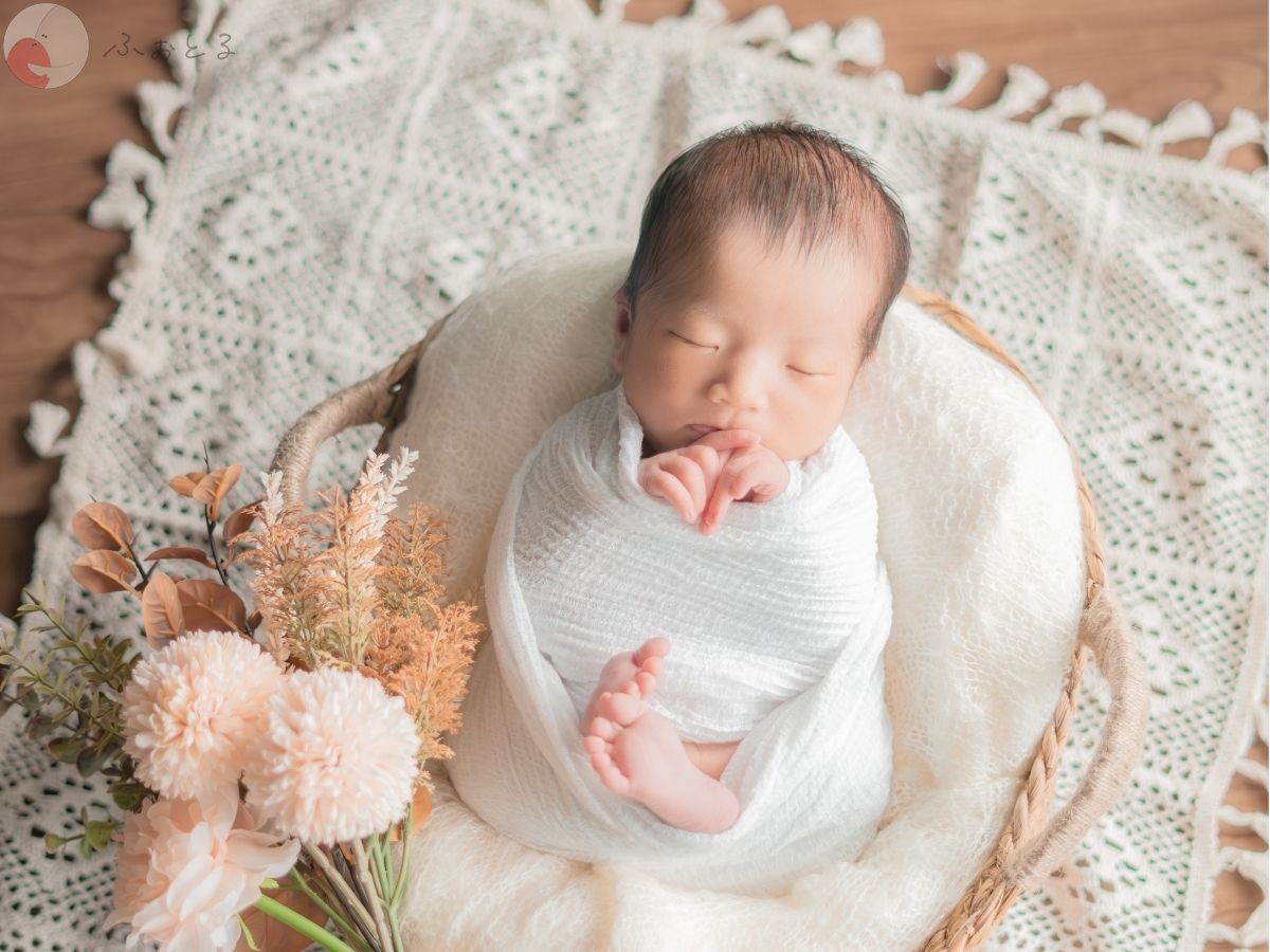 LicoLino𓍯澁佐春菜のポートフォリオ9