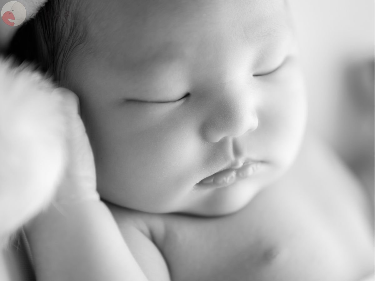 LicoLino𓍯澁佐春菜のポートフォリオ4