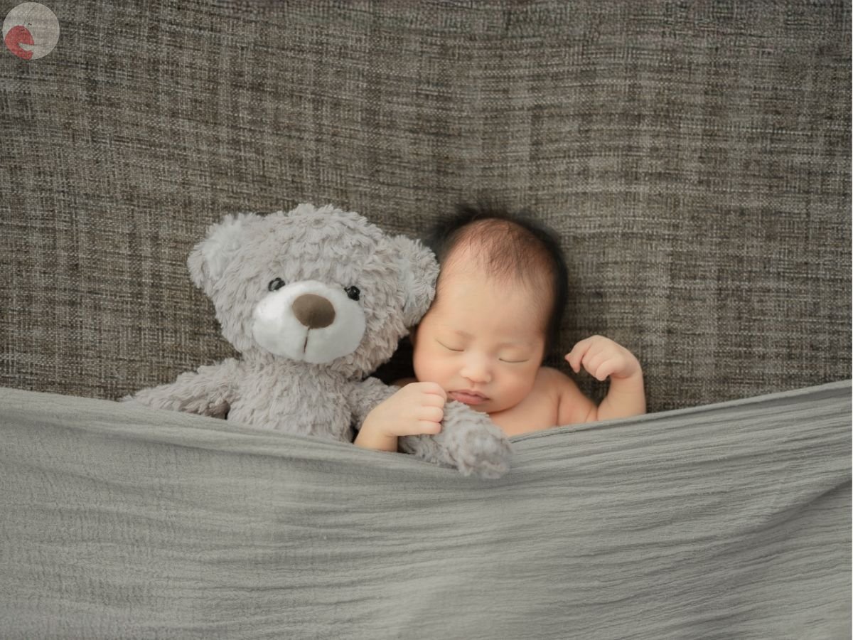 LicoLino?澁佐春菜のポートフォリオ5