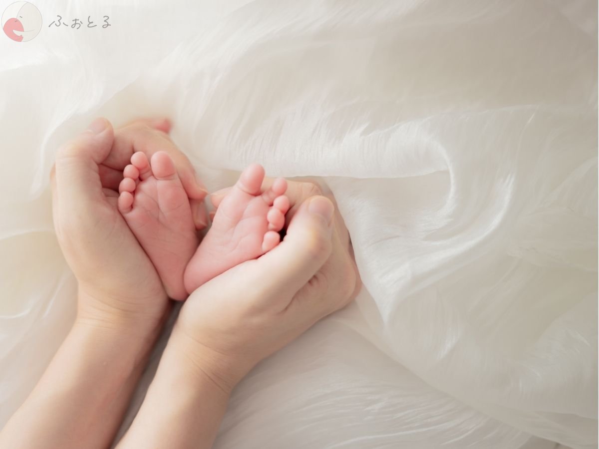 LicoLino𓍯澁佐春菜のポートフォリオ6