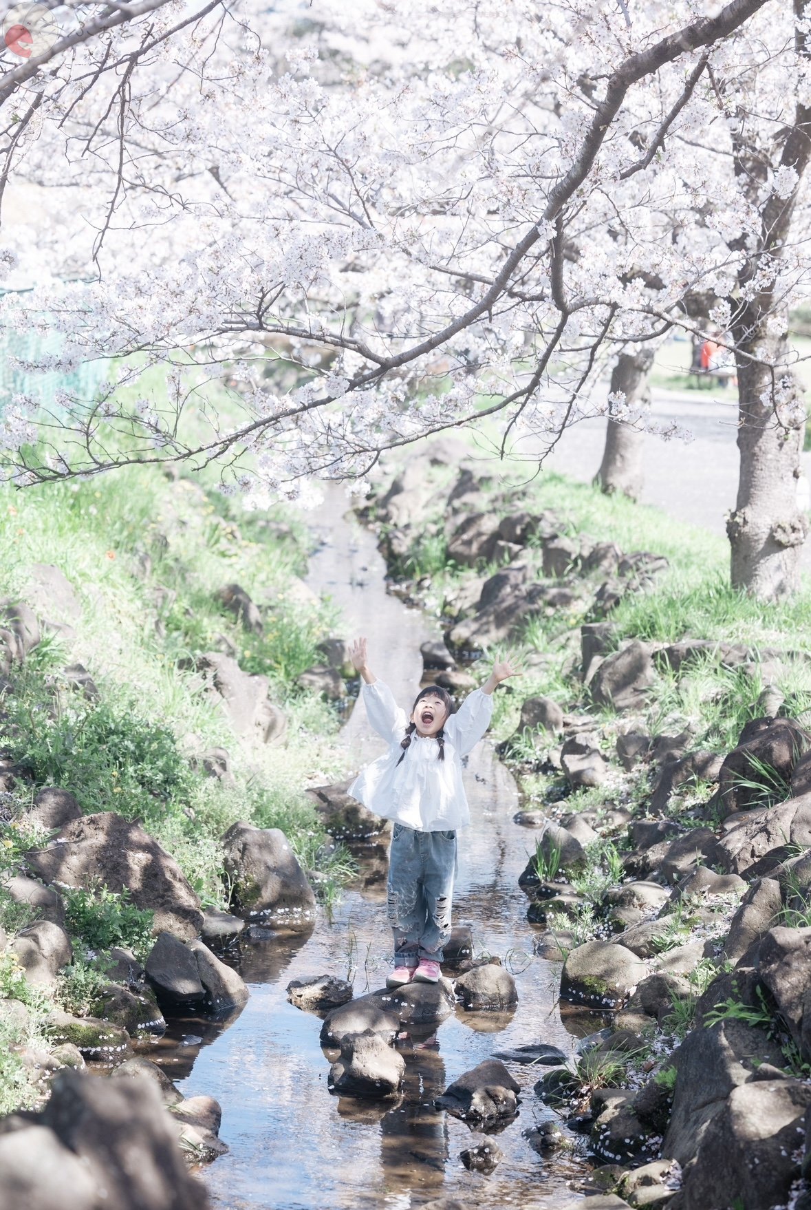 いとうみか