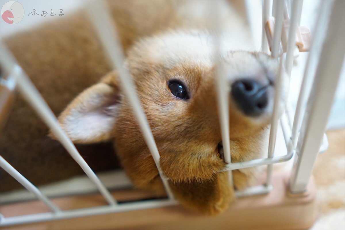 よしだ けいじのポートフォリオ1