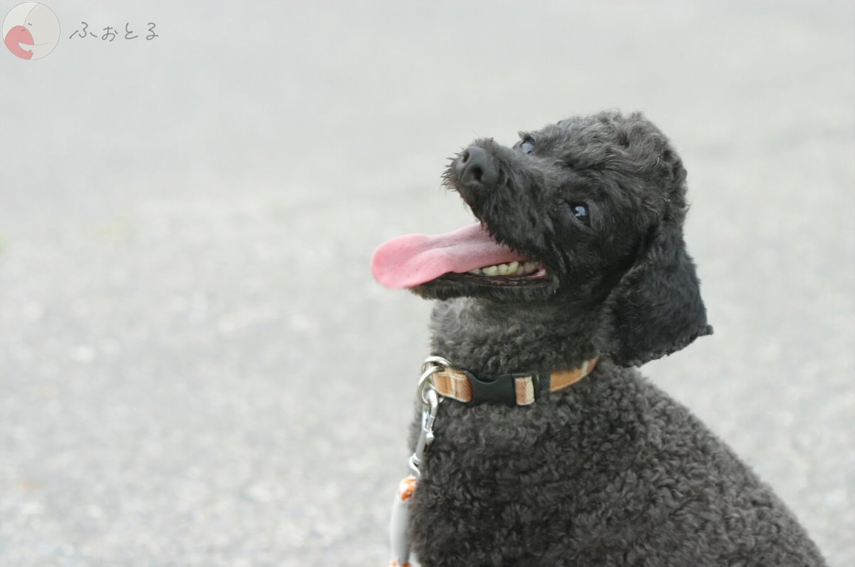 よしだ けいじのポートフォリオ4