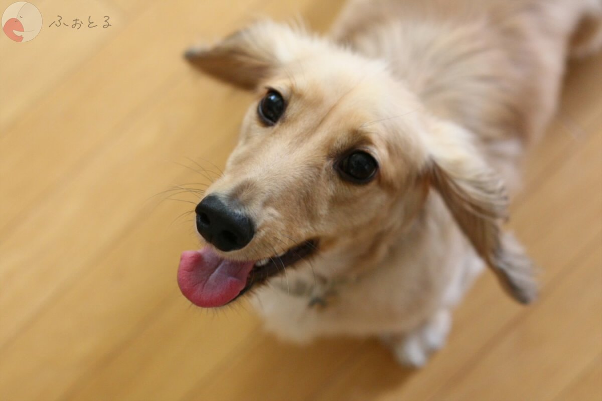 よしだ けいじのポートフォリオ6