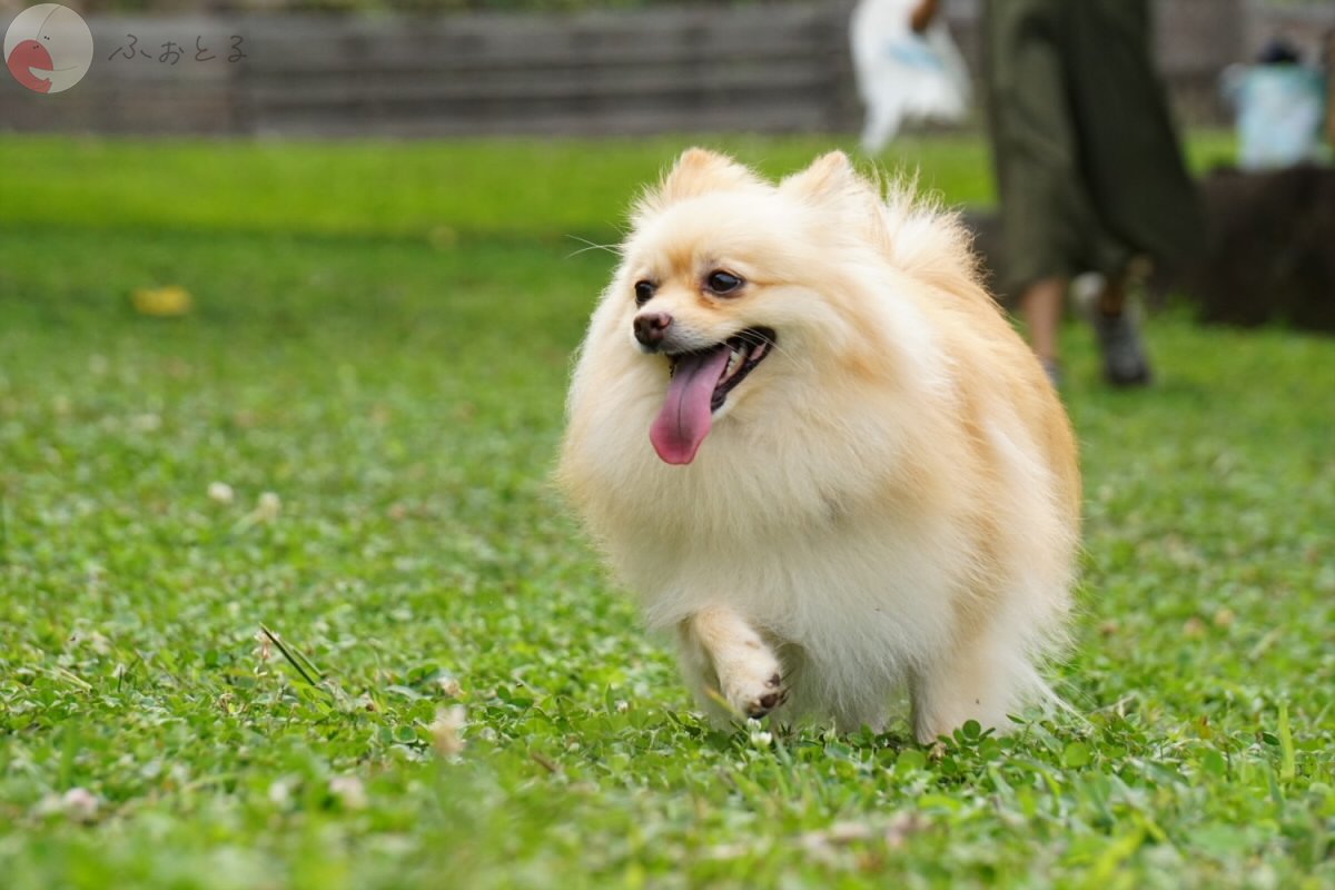 よしだ けいじのポートフォリオ7