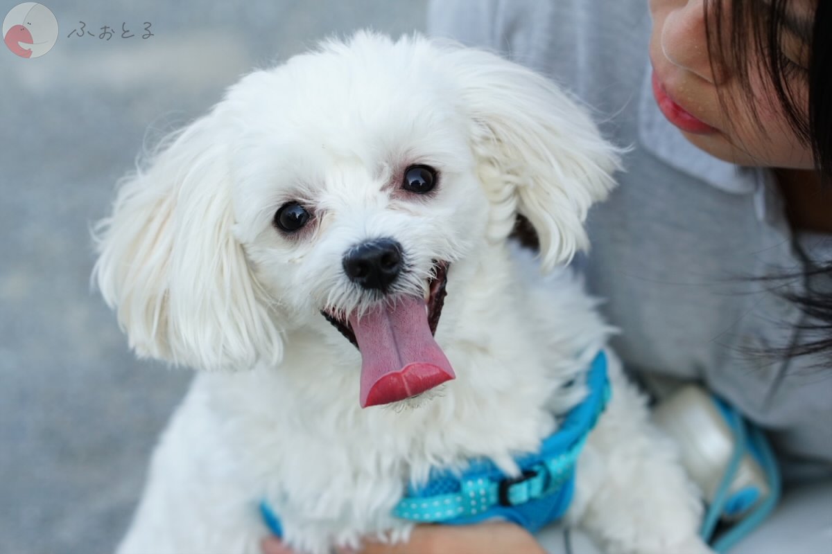 よしだ けいじのポートフォリオ9