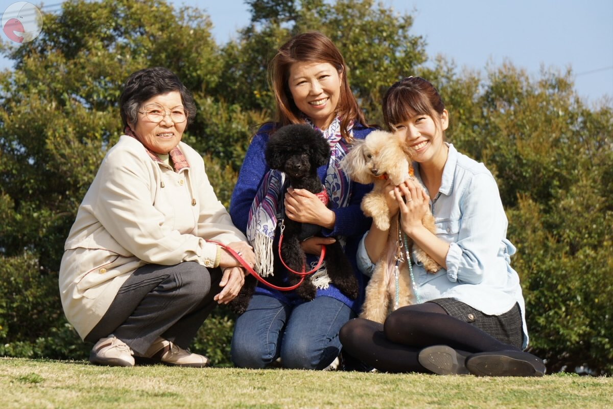 よしだ けいじのポートフォリオ0