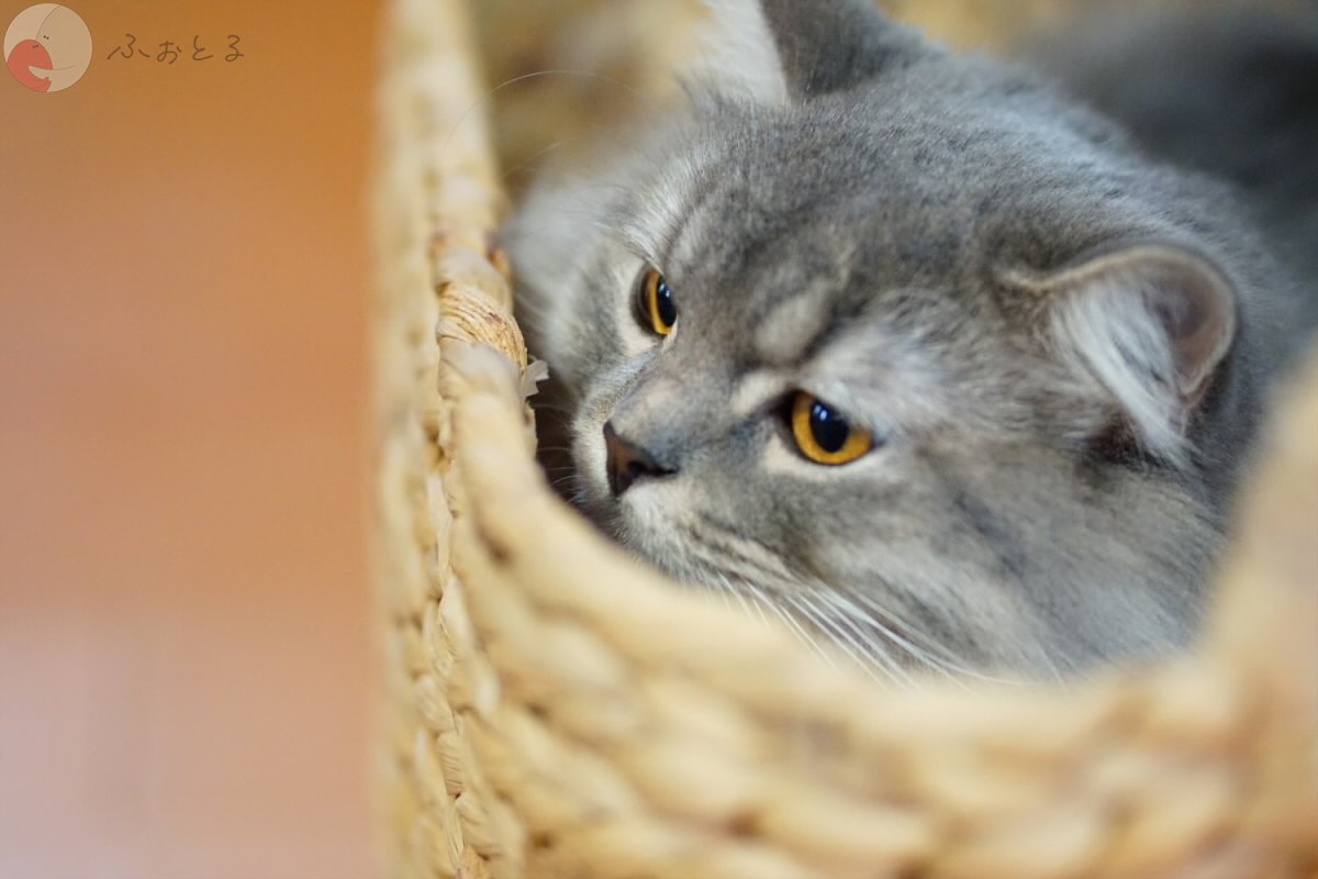 よしだ けいじのポートフォリオ2