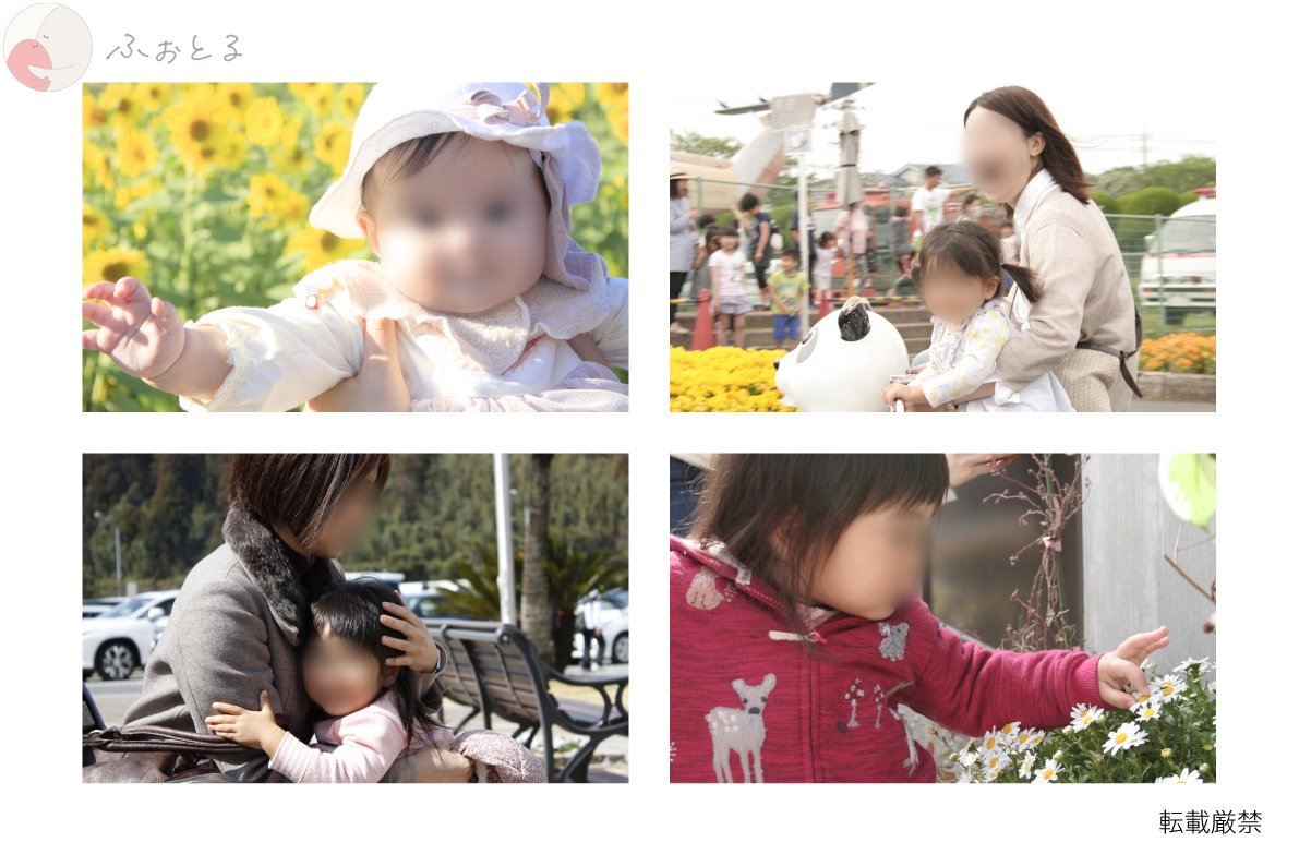 テルのポートフォリオ3