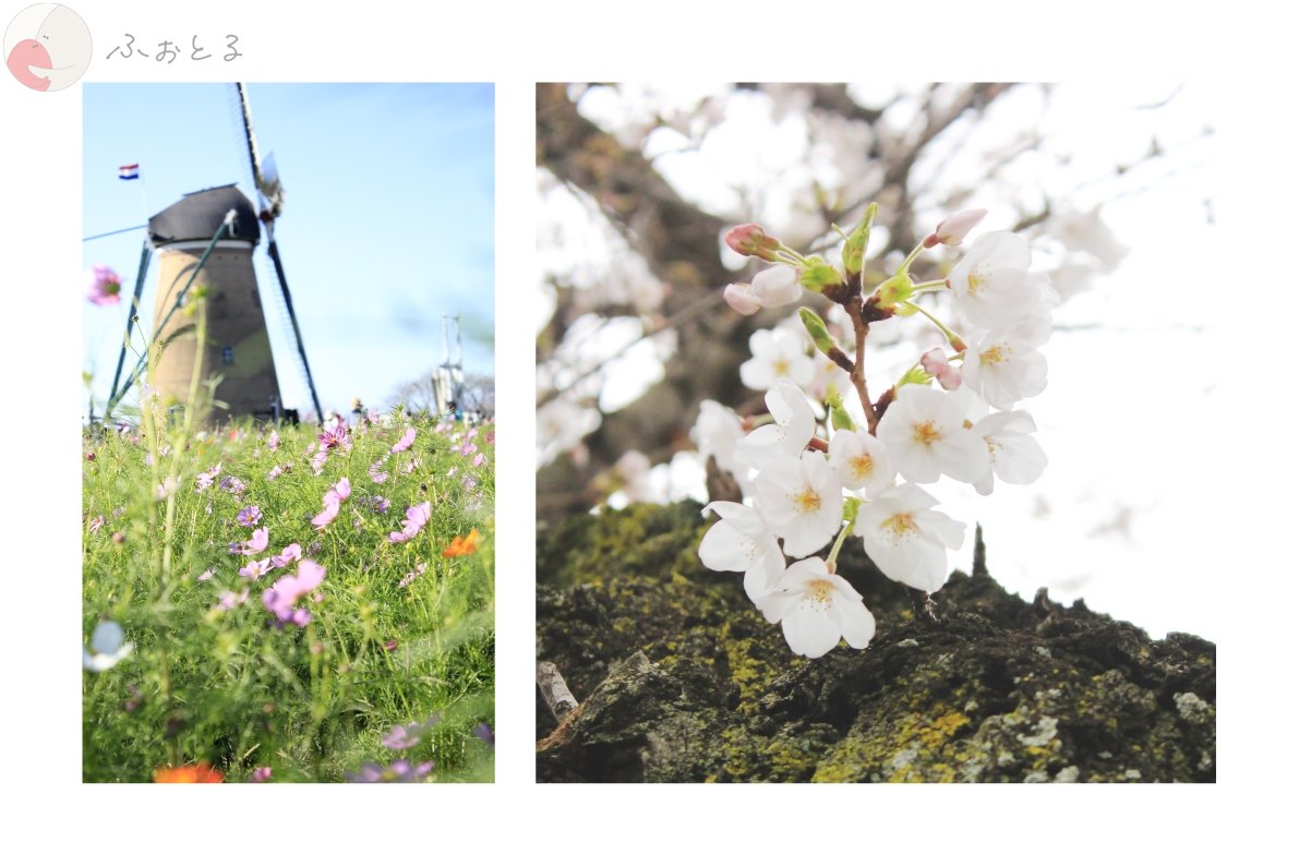 テルのポートフォリオ1