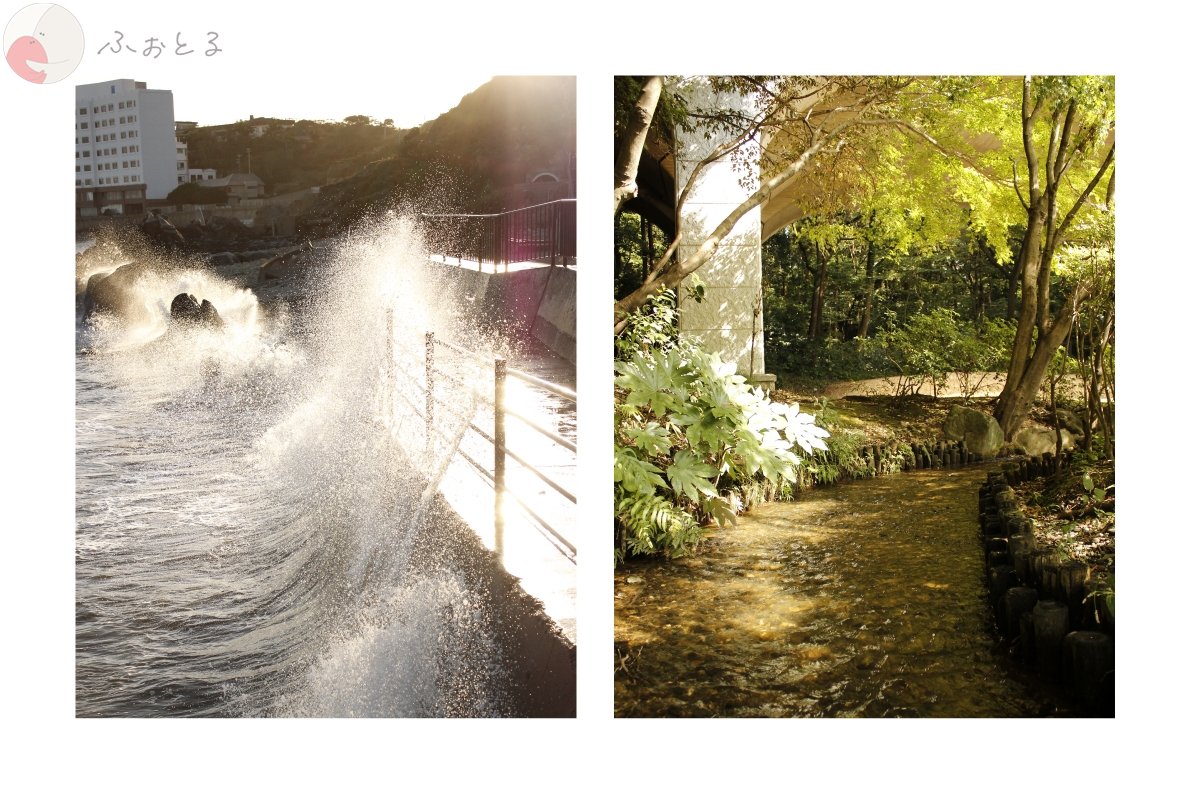 テルのポートフォリオ3