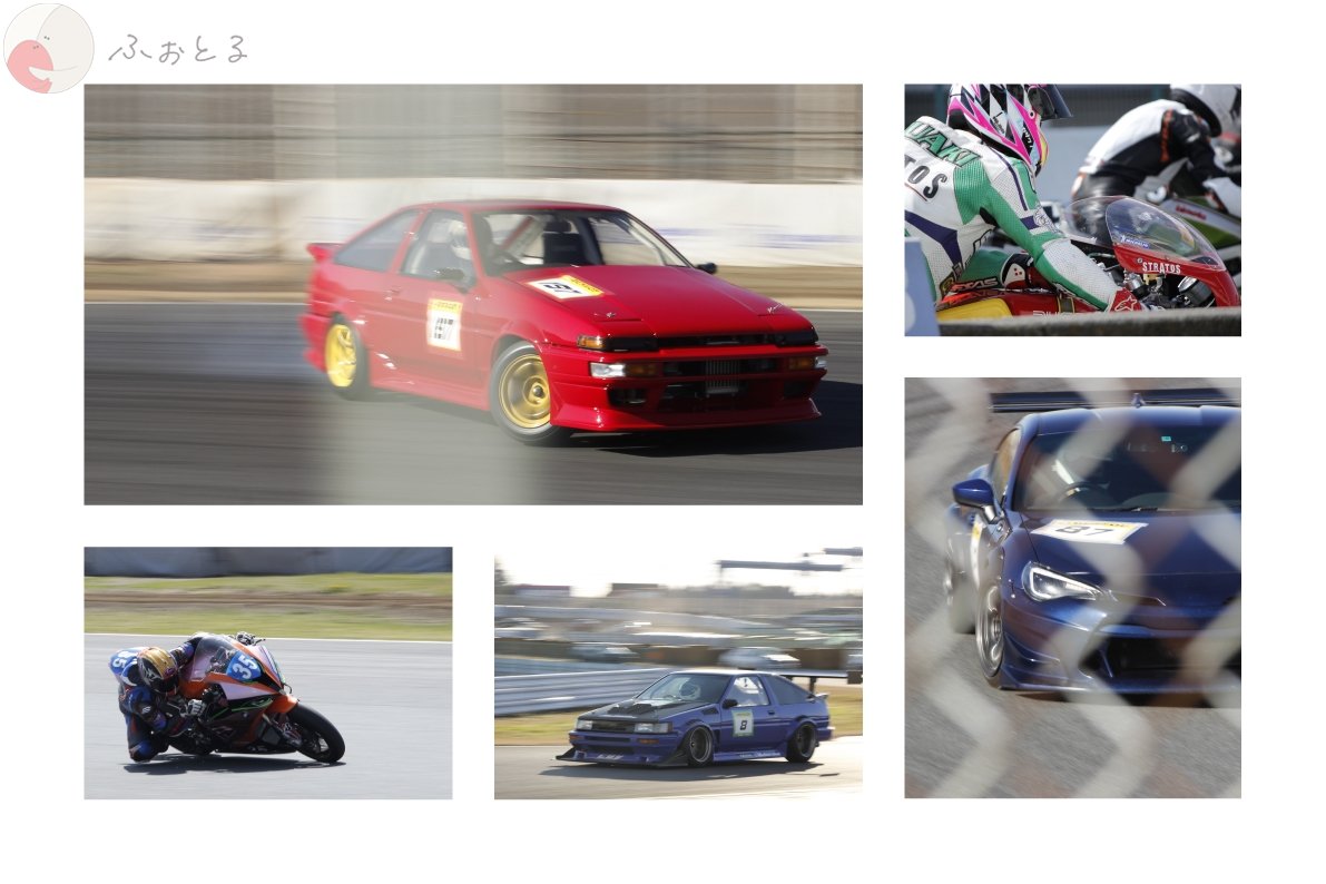 テルのポートフォリオ6