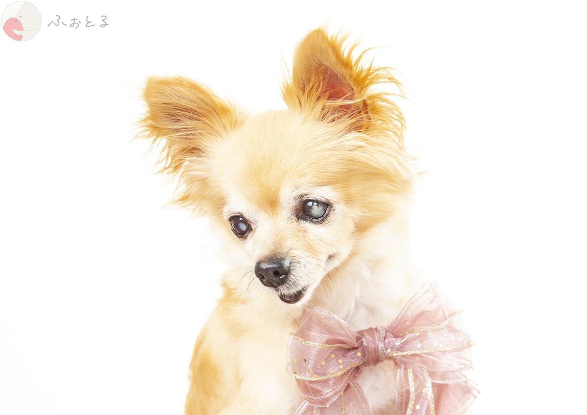 あきさんのポートフォリオ3