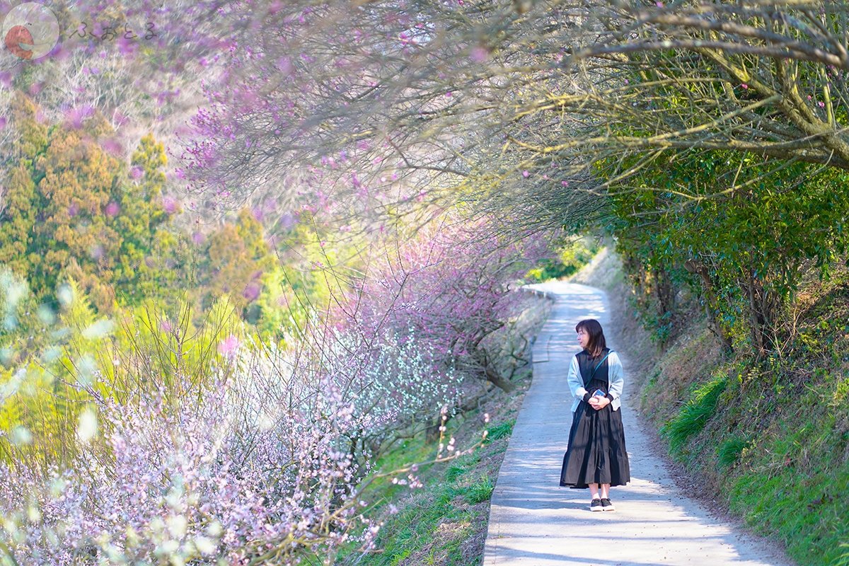 あきさんのポートフォリオ6