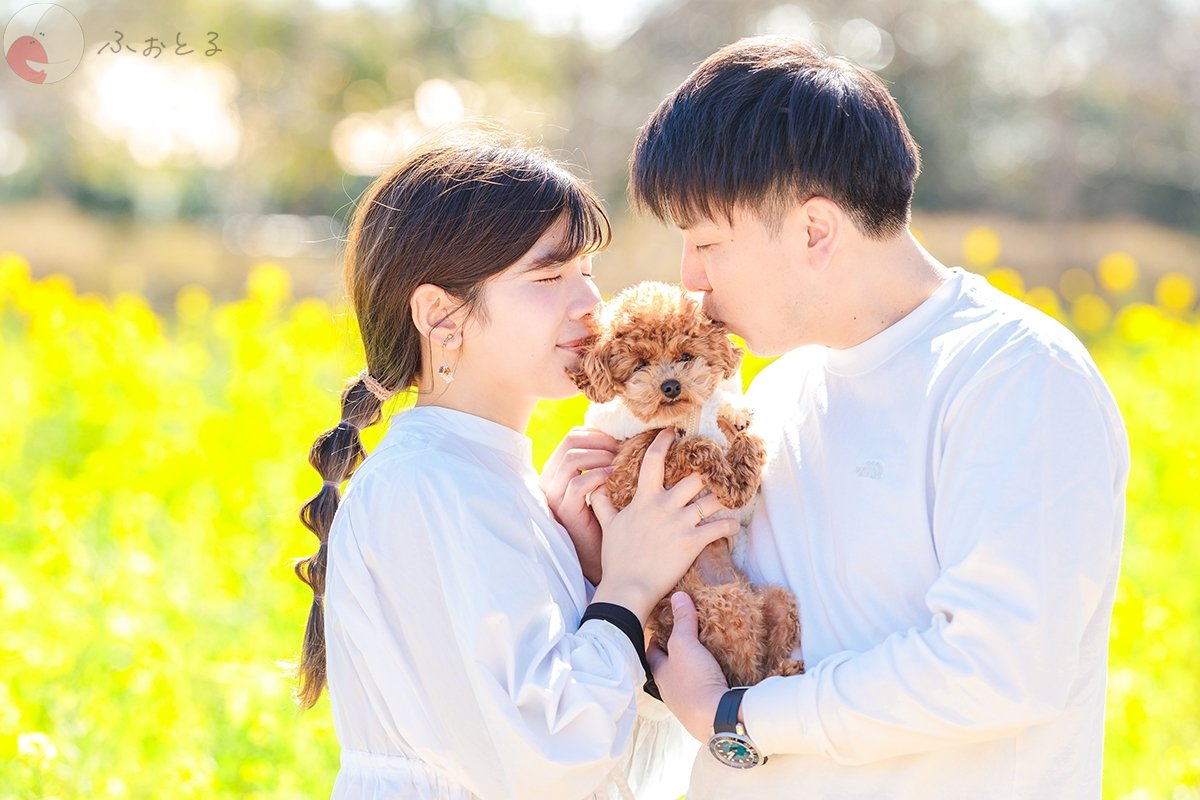 笑 莉 香のポートフォリオ0