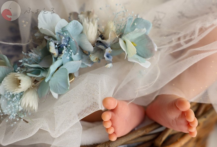 Kicori Nozomi Gotoのポートフォリオ1