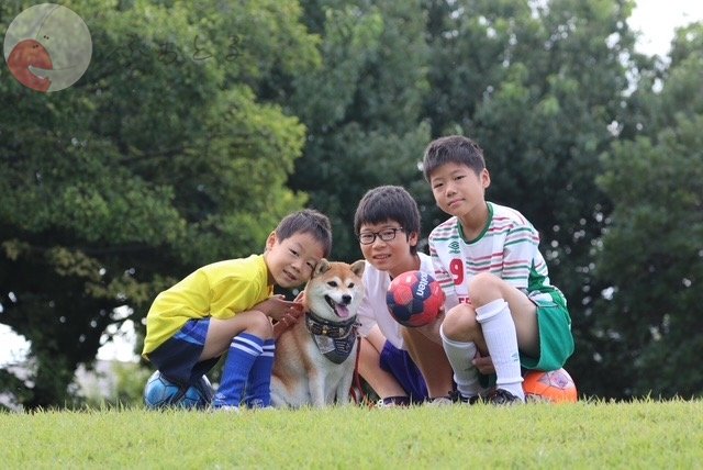 Kicori Nozomi Gotoのポートフォリオ4