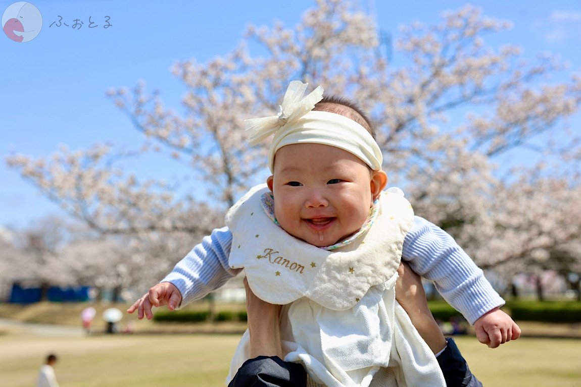 Kicori Nozomi Gotoのポートフォリオ5